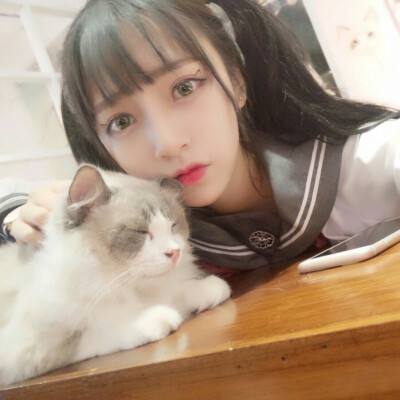 果盘刀剑武娘手游下载